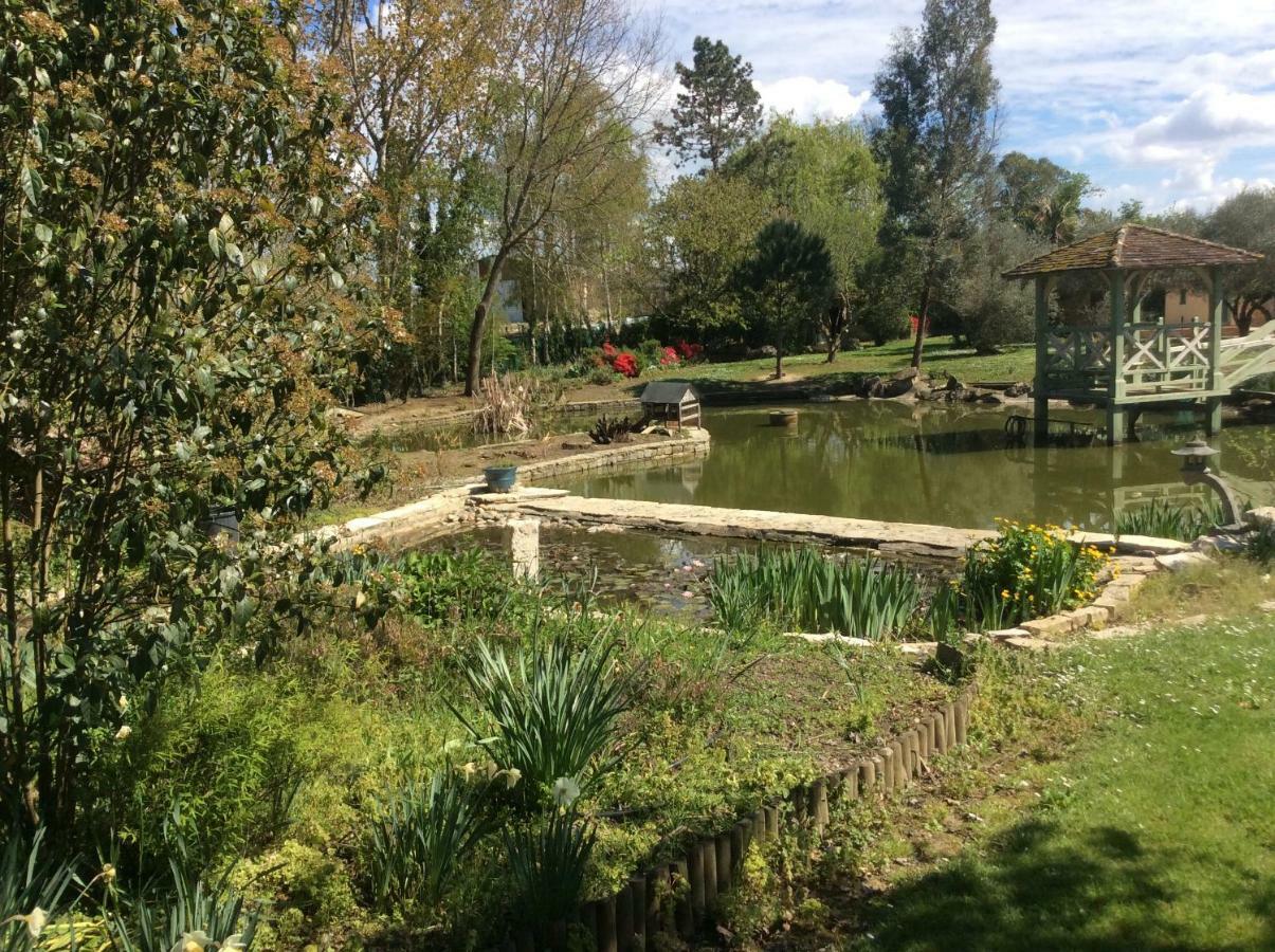 Gite Le Bois De Montpouillan Marmande Zewnętrze zdjęcie