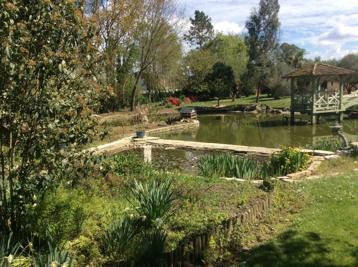 Willa Gite Le Bois De Montpouillan Marmande Zewnętrze zdjęcie